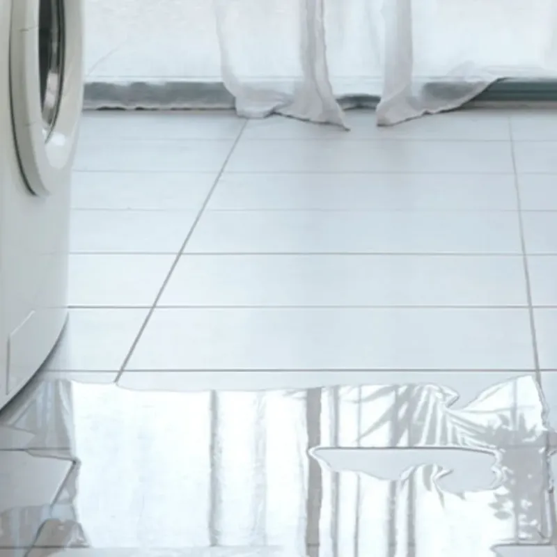 Appliance Leak Cleanup in Sun Valley, ID