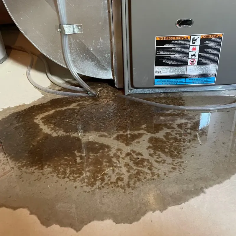 Pipe Burst and Leak Restoration in Sun Valley, ID